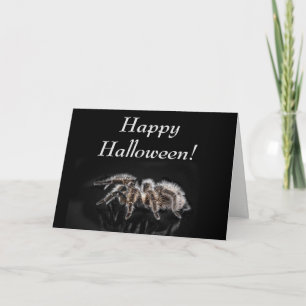TARÁNTULA NEGRA, HALLOWEEN, TARJETA DE FELICITACIÓ