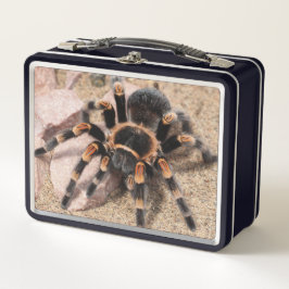 Tarantula Spider