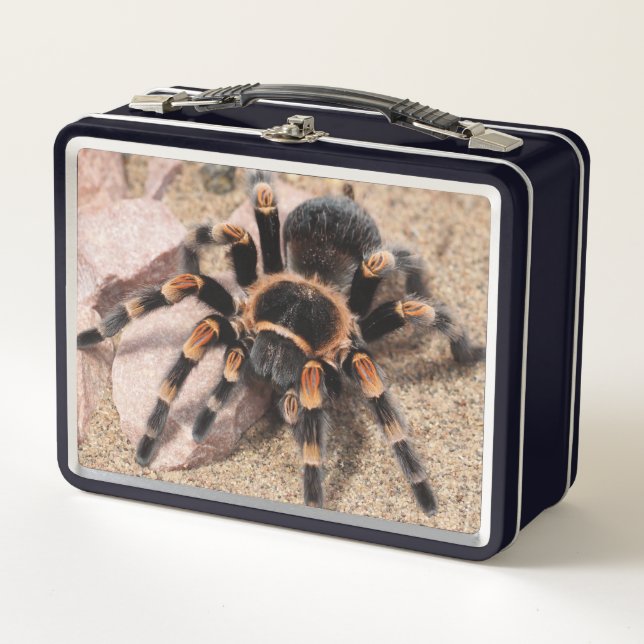Tarantula Spider (Anverso)