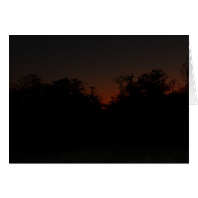 Tarde al atardecer (Anverso (Horizontal))