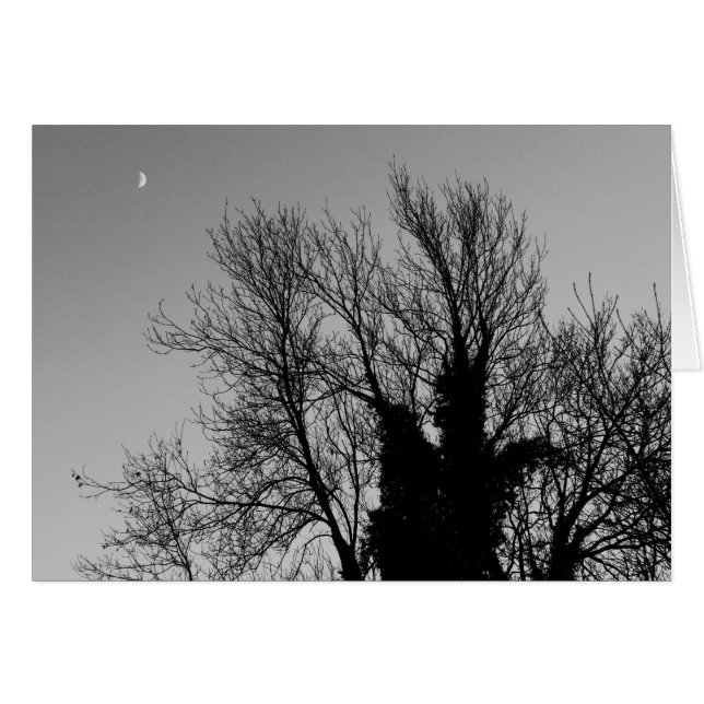 Tarde de invierno medieval (Anverso (Horizontal))