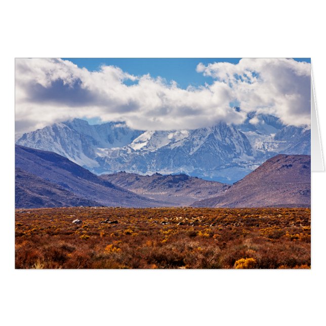 Tarde del desierto (Anverso (Horizontal))