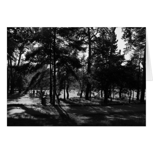 Tarde en el Parque (Anverso (Horizontal))