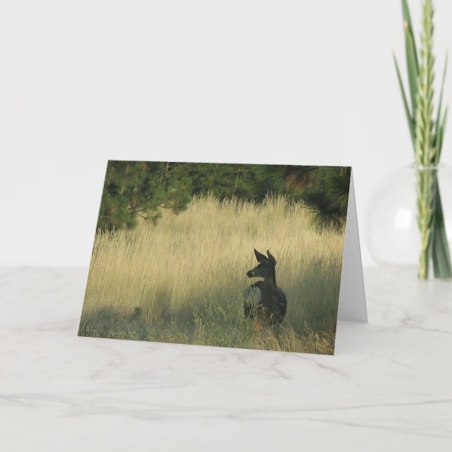 Tarde Mulie, tarjeta de felicitación por la marca (Anverso)