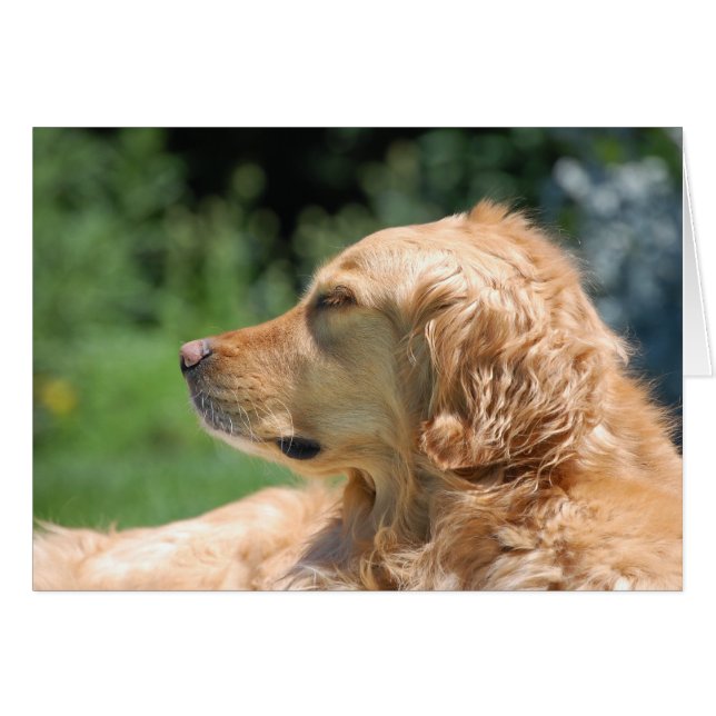 Tarde perezosa al sol (Anverso (Horizontal))