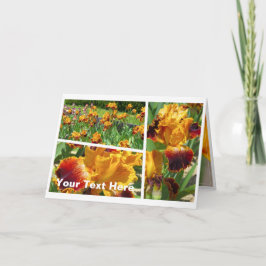 TARJETA ミ・ ガ・プ ン・ド [ジ・・・・・・・・・・・・・・]