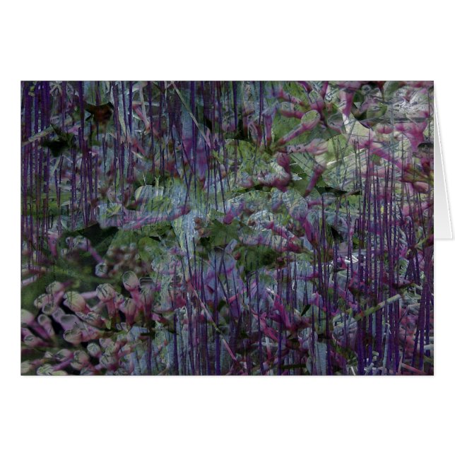 tarjeta 003_06 (Anverso (Horizontal))