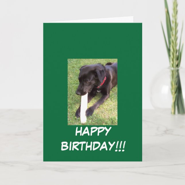 TARJETA 100_0695, ¡¡¡FELIZ CUMPLEAÑOS!!! (Anverso)