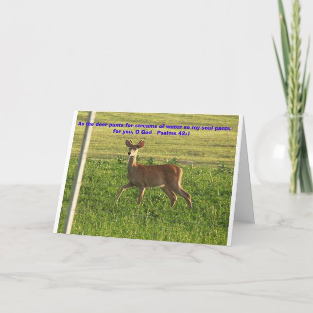 Tarjeta 100_3149, como los pantalones de venado para arroy (Anverso)