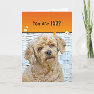 Tarjeta 103 años caniche marrón en mimbre