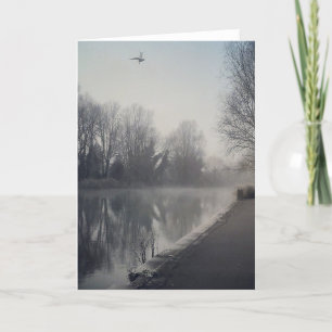 Tarjeta 10923584_10152980290704872_2157613058937452917_n.j