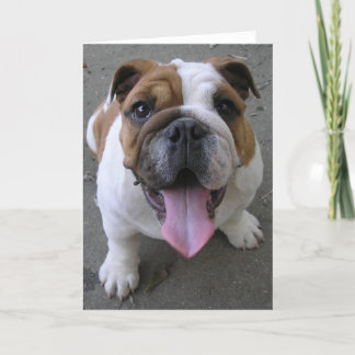 TARJETA 10-04-05 003