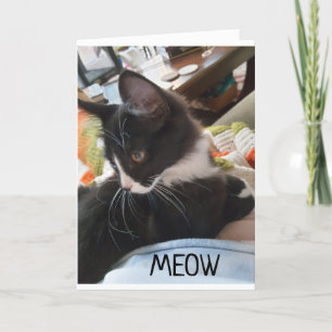 TARJETA 12°" CUMPLEAÑOS DESEOS DE AMBOS PERROS