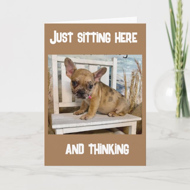 TARJETA **13º CUMPLEAÑOS** ¿¿¿CÓMO SUCEDIÓ ESO??? (Anverso)