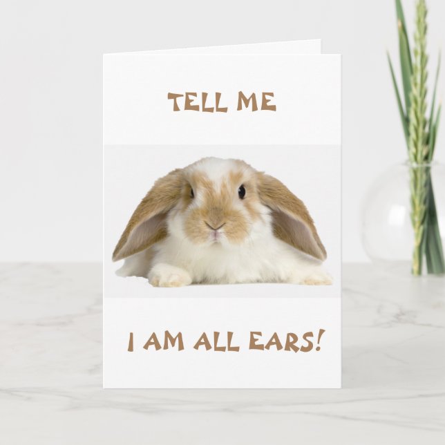 Tarjeta **13º** CUMPLEAÑOS HUMOR DE *FUNNY BUNNY" Card (Anverso)