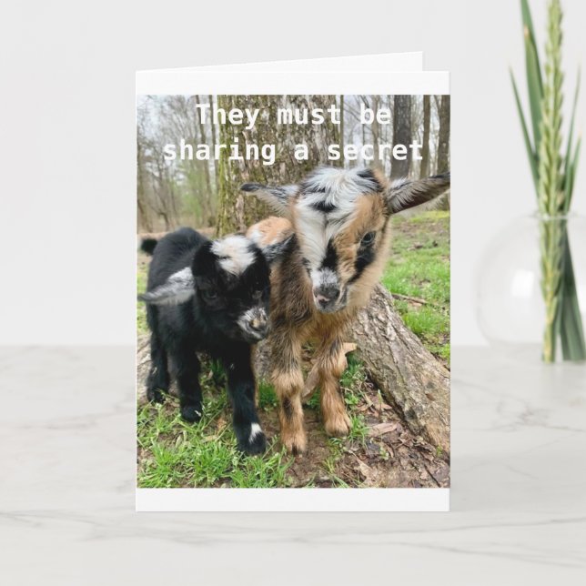 TARJETA **13º CUMPLEAÑOS** LAS CABRAS COMPARTEN UN SECRETO (Anverso)