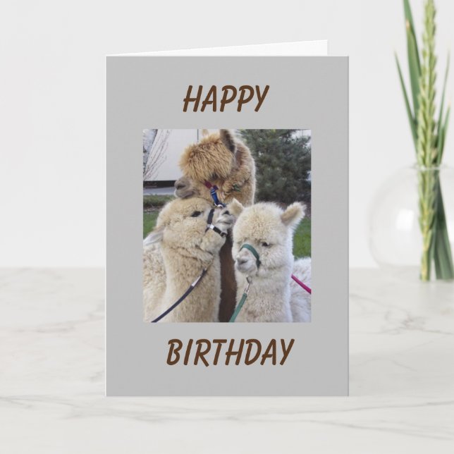 TARJETA **13º** DESEOS DE CUMPLEAÑOS - ¡NUEVO ADOLESCENTE  (Anverso)