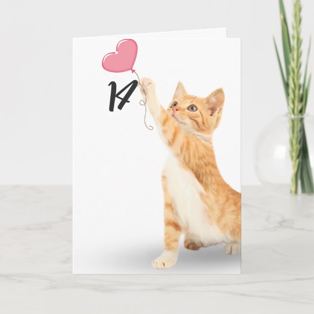 Tarjeta 14.º gato de tabby de cumpleaños (Anverso)