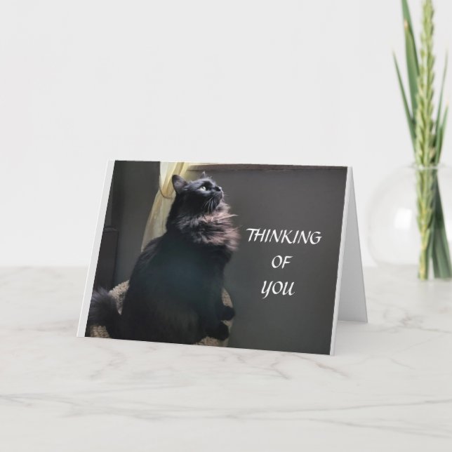 Tarjeta **16º CUMPLEAÑOS** a UN ADOLESCENTE ESPECIAL (Anverso)