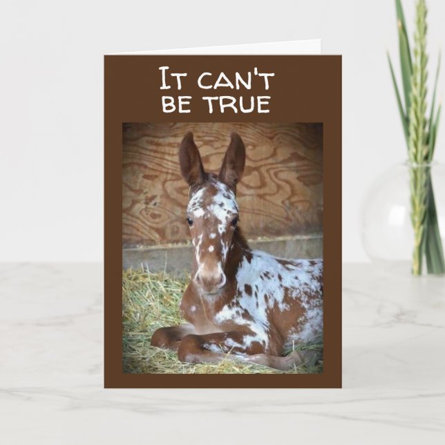 TARJETA **16º CUMPLEAÑOS** DESEO DE UNA CABELLA DE CABALLO (Anverso)