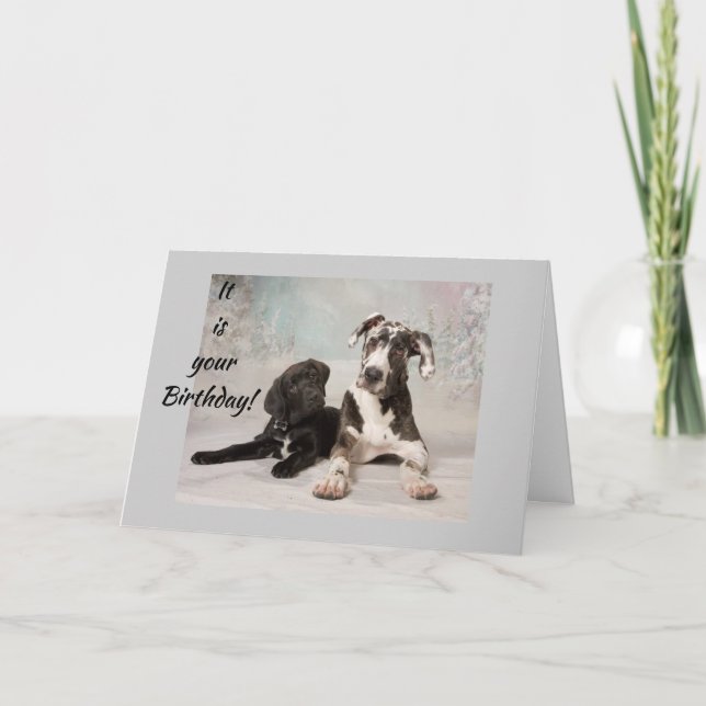 TARJETA **16º CUMPLEAÑOS** GRANDES DANES ESPERANZAS DE QUE (Anverso)