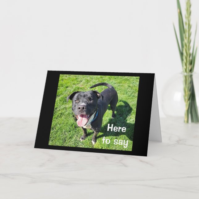 TARJETA **16º CUMPLEAÑOS** HUMOR DE UN PERRO DE GUAY (Anverso)