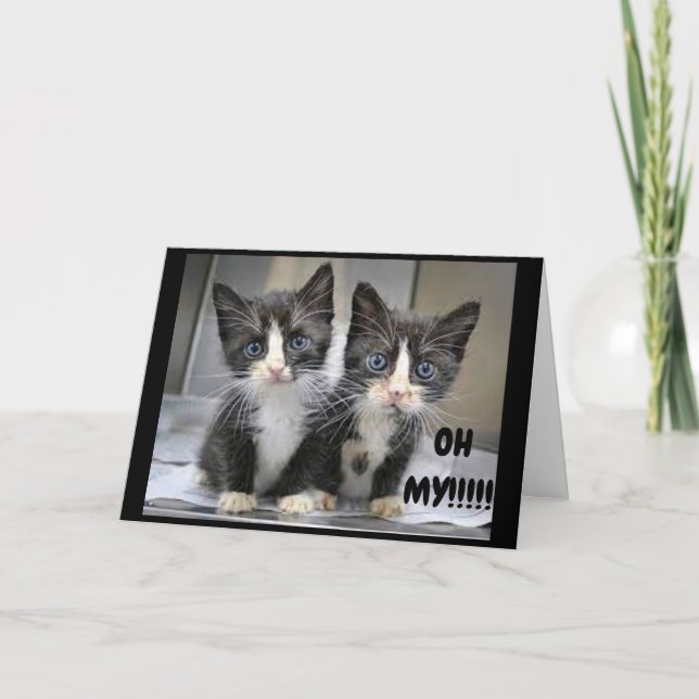 TARJETA **16º CUMPLEAÑOS** LOS KITTENS DICEN ¡¡¡WOW!!! (Anverso)