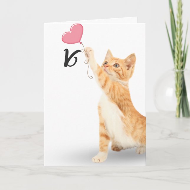 Tarjeta 16.º gato de tabby de cumpleaños (Anverso)