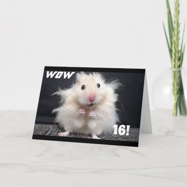 TARJETA ***16 DESEOS DE CUMPLEAÑOS*** ¡¡¡¡¡EL PELO ESTÁ TE (Anverso)