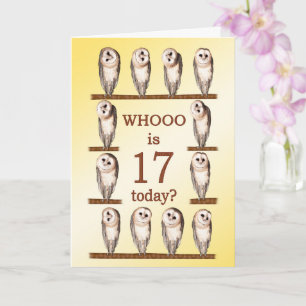 Tarjeta 17.º cumpleaños, búhes curiosas