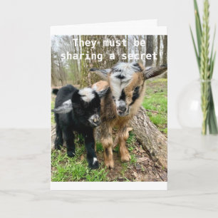 TARJETA **18º CUMPLEAÑOS** LAS CABRAS COMPARTEN UN SECRETO