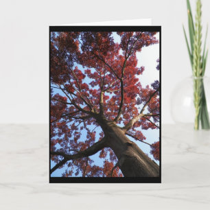 Tarjeta ~ 18 del otoño