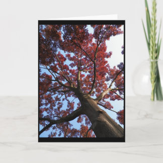 Tarjeta ~ 18 del otoño