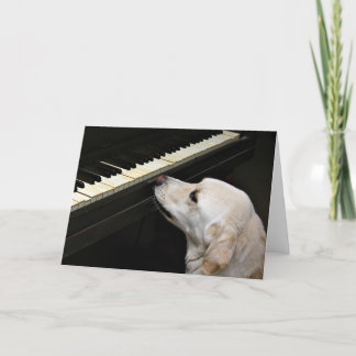 Tarjeta 1.ᵉʳ comedia