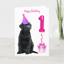 1.ᵉʳ tema de la cachorro de cumpleaños - Cute perr