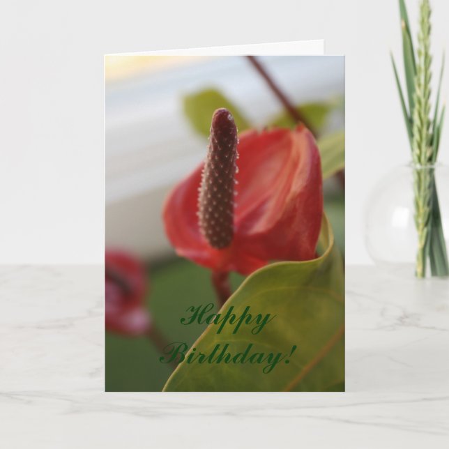 Tarjeta ¡20080427_4, feliz cumpleaños! (Anverso)