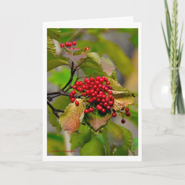 Tarjeta 2012 de Navidad de las bayas del otoño (Anverso)