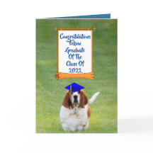 2022 Graduation Card W/Basset Hound W/Cap & Scroll