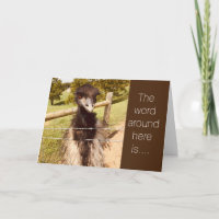 **21º CUMPLEAÑOS** EL "FIN DE TU JUVENTUD"