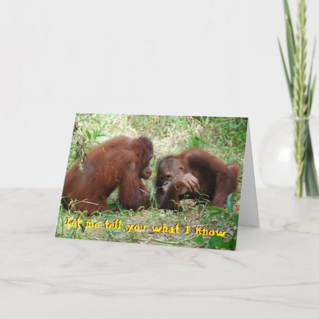 Tarjeta 21° cumpleaños sin identificación falsa (Anverso)