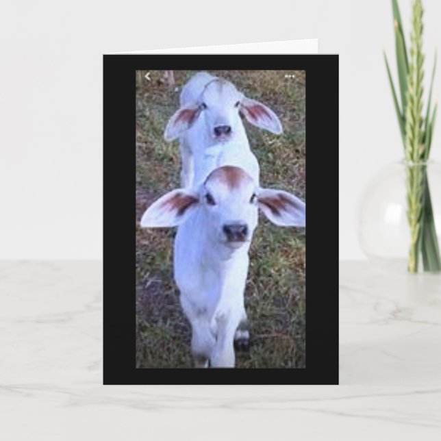 TARJETA "21 ES ALGO DE LO QUE MORIR" (Anverso)