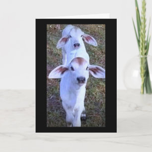 TARJETA "21 ES ALGO DE LO QUE MORIR"