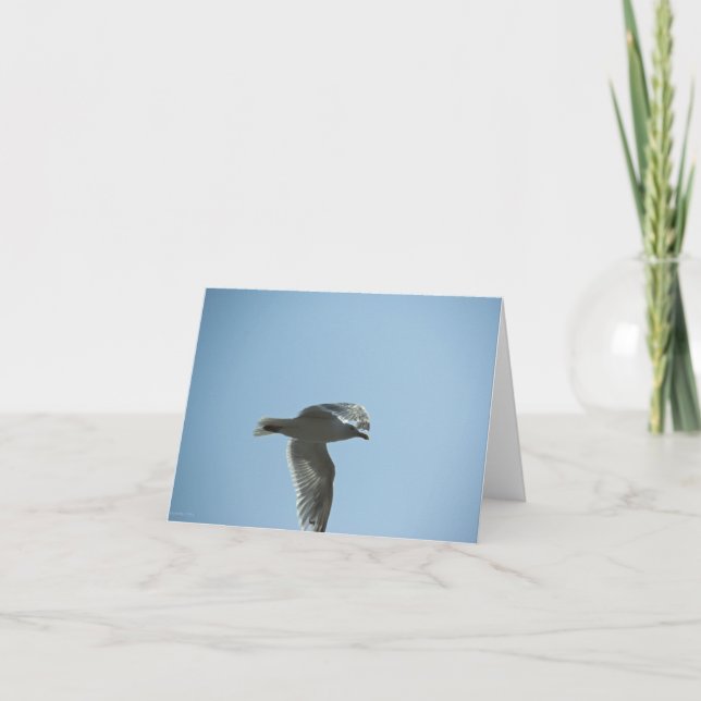 TARJETA 2367 (Anverso)