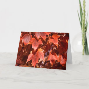 Tarjeta 2767 Autumn Maple Leaves Birthday Card