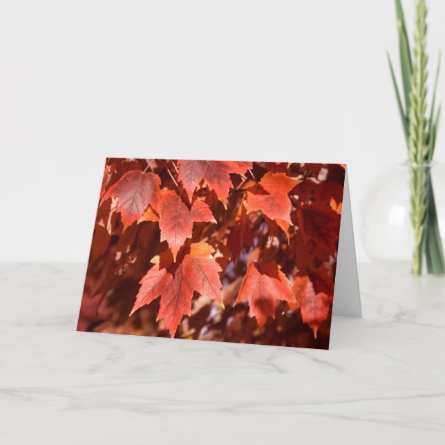 Tarjeta 2767 Autumn Maple Leaves Birthday Card (Anverso)