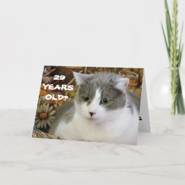 Tarjeta 29? Tienes a Cat para ser gatito conmigo