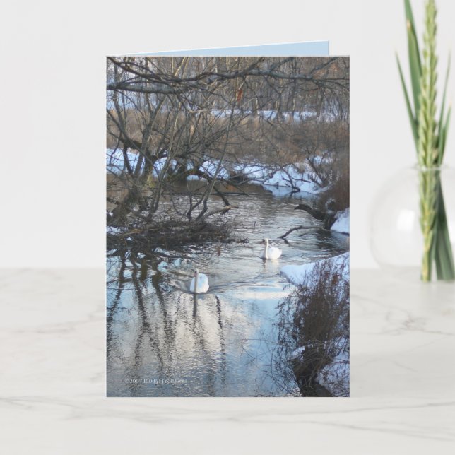 Tarjeta 2 cisnes en invierno (Anverso)