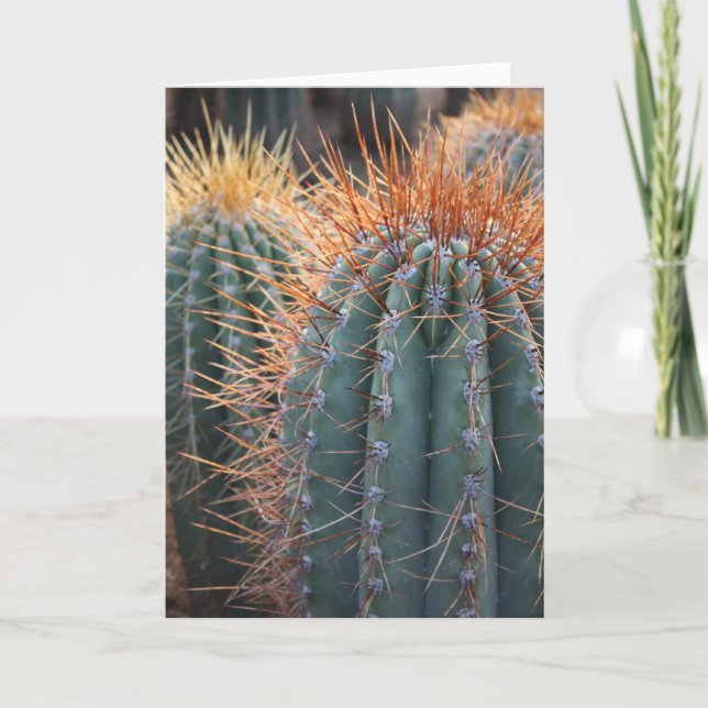 Tarjeta 2 del Ferocactus (Anverso)