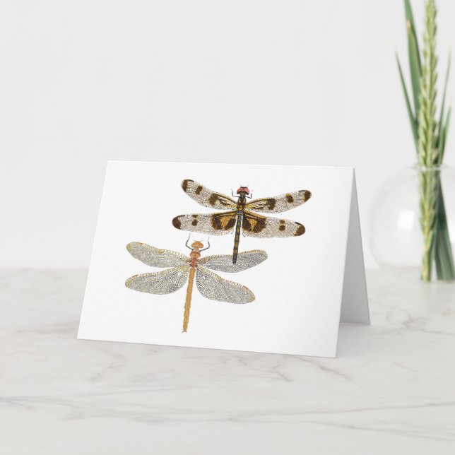 Tarjeta 2 Dragonflies (Anverso)
