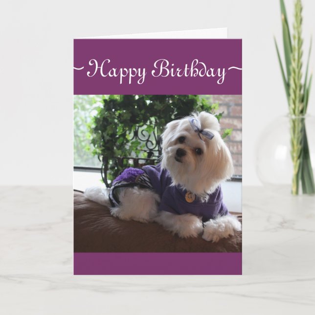 Tarjeta 2 malteses (Anverso)